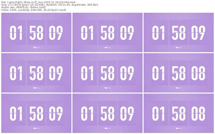 cams-ff_mur-11-18-2025-02-14-40