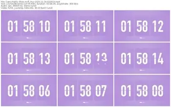 cams-ff_mur-11-18-2025-02-29-19