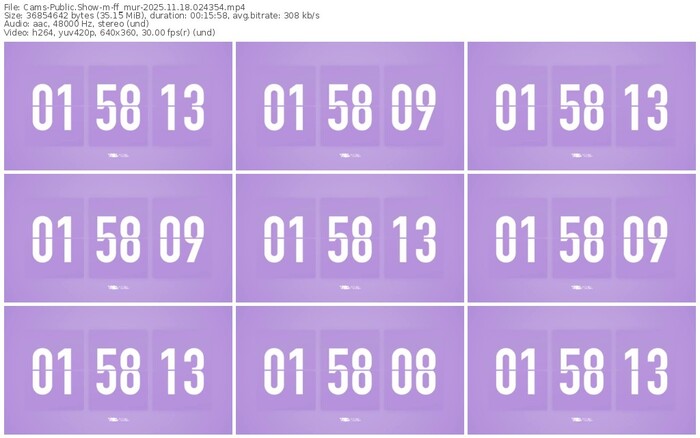 cams-ff_mur-11-18-2025-02-43-54