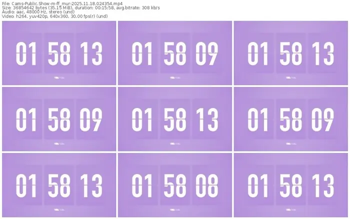 cams-ff_mur-11-18-2025-02-43-54
