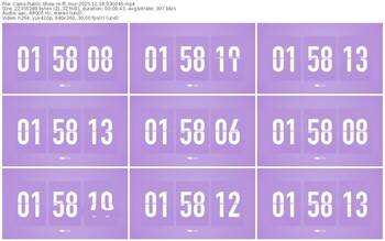 cams-ff_mur-11-18-2025-03-00-46