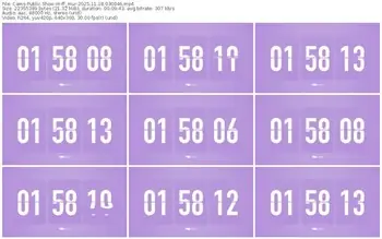 cams-ff_mur-11-18-2025-03-00-46