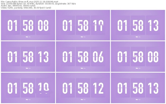 cams-ff_mur-11-18-2025-03-00-46