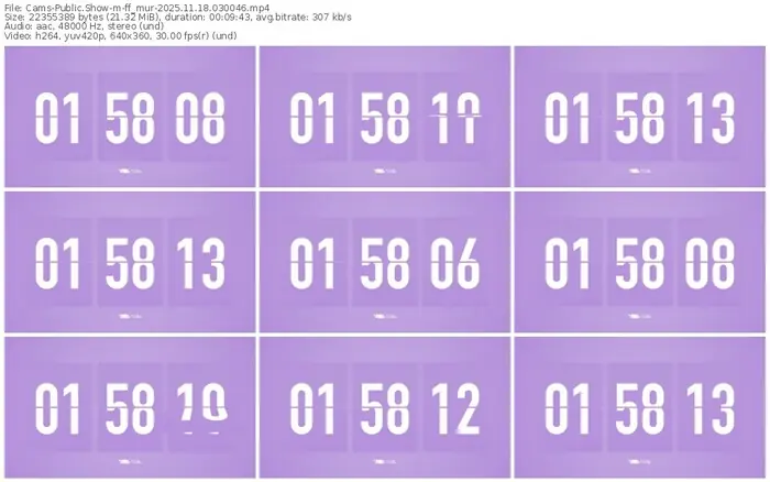 cams-ff_mur-11-18-2025-03-00-46