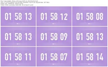 cams-ff_mur-11-18-2025-03-11-23