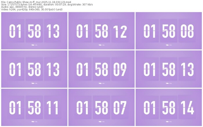 cams-ff_mur-11-18-2025-03-11-23