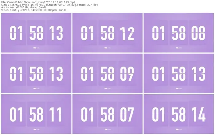 cams-ff_mur-11-18-2025-03-11-23