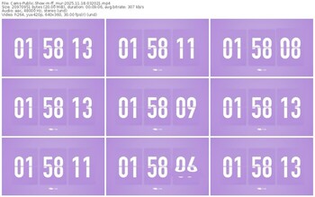 cams-ff_mur-11-18-2025-03-20-21