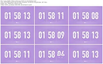 cams-ff_mur-11-18-2025-03-20-21