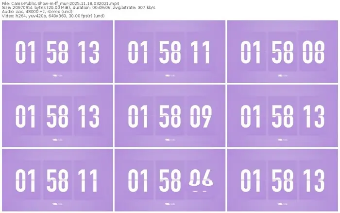 cams-ff_mur-11-18-2025-03-20-21