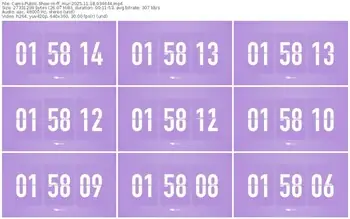 cams-ff_mur-11-18-2025-03-46-44