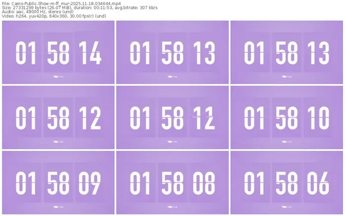 cams-ff_mur-11-18-2025-03-46-44