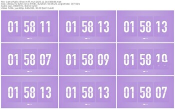 cams-ff_mur-11-18-2025-03-58-39