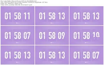 cams-ff_mur-11-18-2025-03-58-39