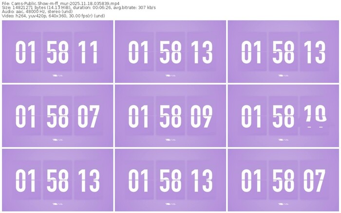 cams-ff_mur-11-18-2025-03-58-39