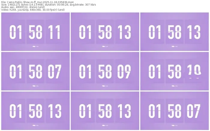 cams-ff_mur-11-18-2025-03-58-39