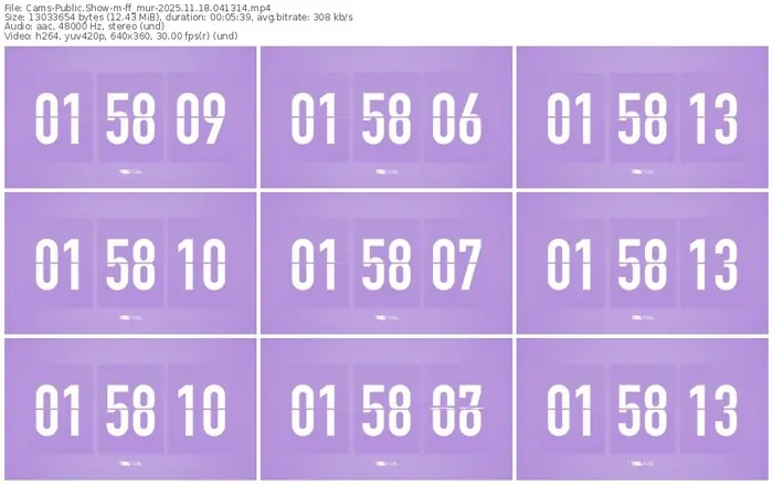 cams-ff_mur-11-18-2025-04-13-14