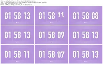 cams-ff_mur-11-18-2025-04-50-33