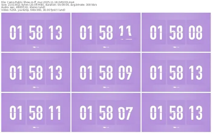 cams-ff_mur-11-18-2025-04-50-33