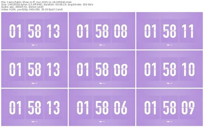 cams-ff_mur-11-18-2025-04-59-40