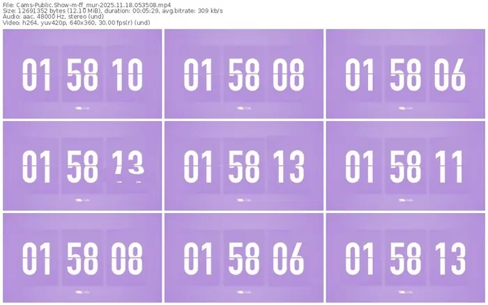 cams-ff_mur-11-18-2025-05-35-08