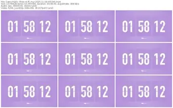 cams-ff_mur-11-18-2025-05-53-45