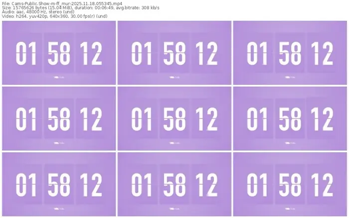 cams-ff_mur-11-18-2025-05-53-45