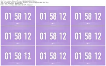 cams-ff_mur-11-18-2025-06-08-53