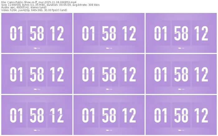 cams-ff_mur-11-18-2025-06-08-53
