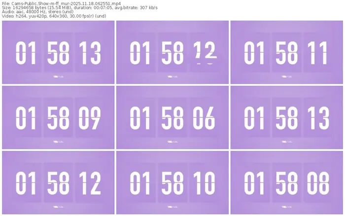 cams-ff_mur-11-18-2025-06-25-51