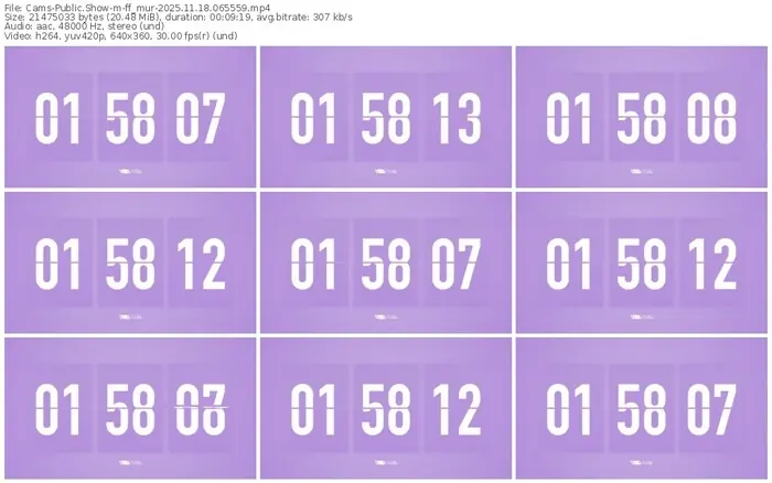 cams-ff_mur-11-18-2025-06-55-59