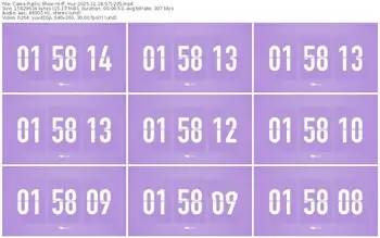 cams-ff_mur-11-18-2025-07-12-05