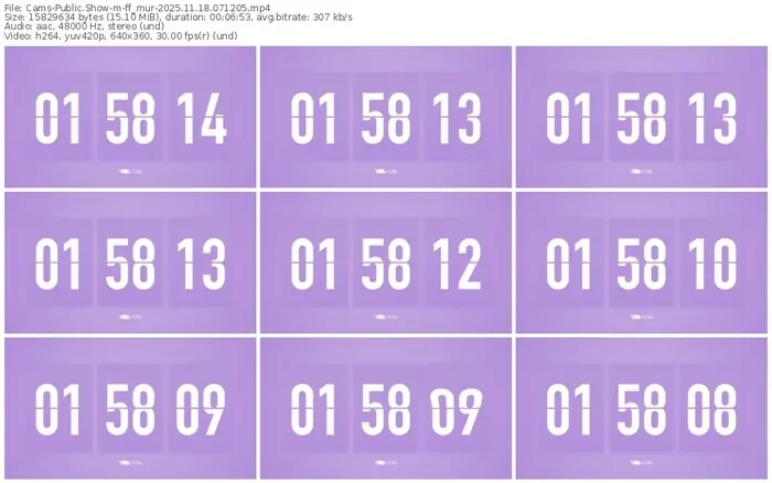 cams-ff_mur-11-18-2025-07-12-05