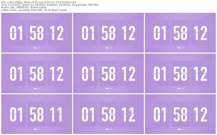 cams-ff_mur-11-18-2025-07-23-16