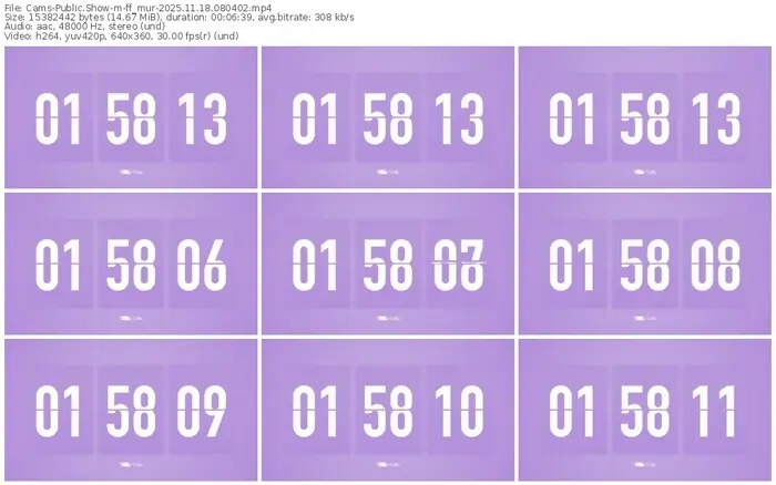 cams-ff_mur-11-18-2025-08-04-02