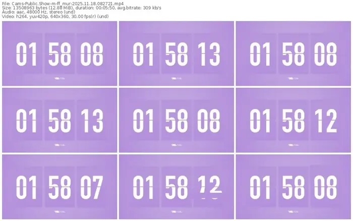 cams-ff_mur-11-18-2025-08-27-21