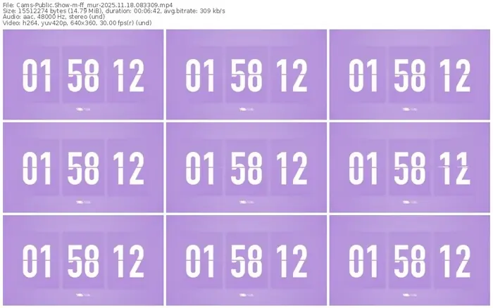 cams-ff_mur-11-18-2025-08-33-09