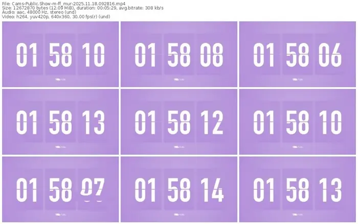 cams-ff_mur-11-18-2025-09-28-16