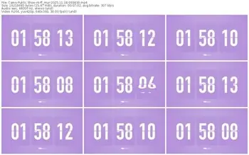 cams-ff_mur-11-18-2025-09-38-30