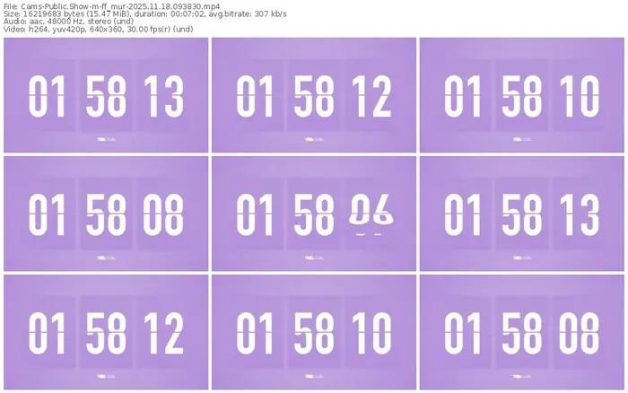 cams-ff_mur-11-18-2025-09-38-30