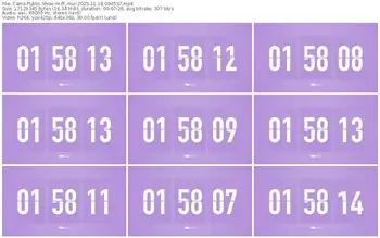 cams-ff_mur-11-18-2025-09-45-37