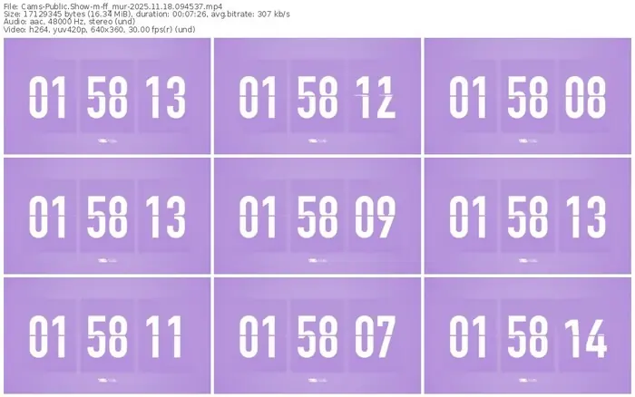 cams-ff_mur-11-18-2025-09-45-37