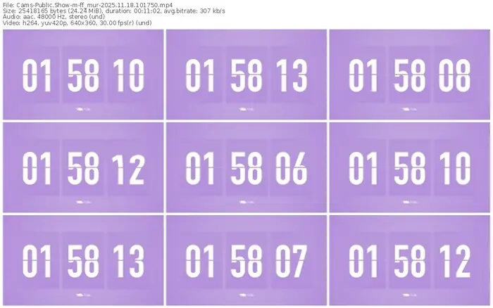 cams-ff_mur-11-18-2025-10-17-50