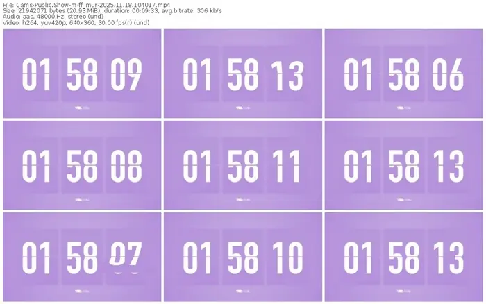 cams-ff_mur-11-18-2025-10-40-17