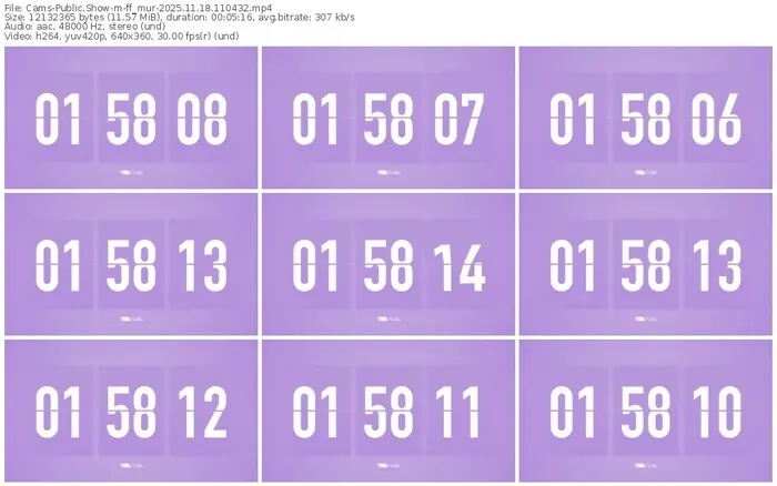 cams-ff_mur-11-18-2025-11-04-32