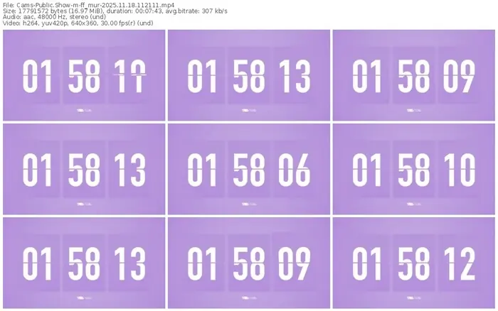 cams-ff_mur-11-18-2025-11-21-11