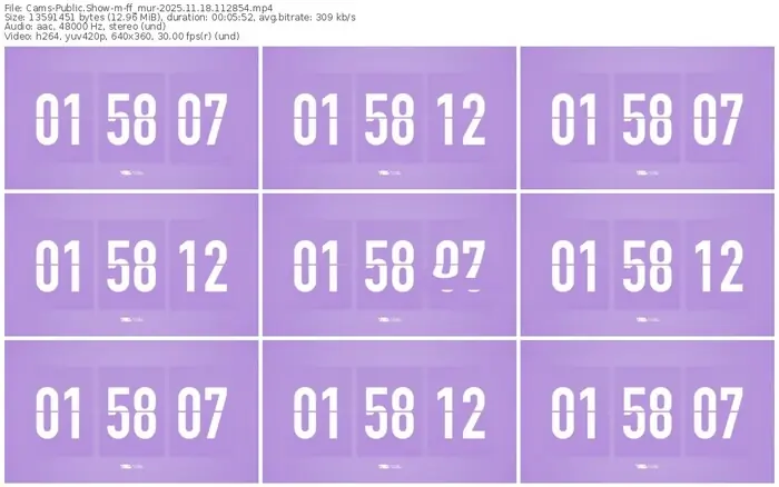 cams-ff_mur-11-18-2025-11-28-54