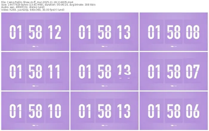 cams-ff_mur-11-18-2025-11-48-35