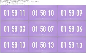 cams-ff_mur-11-18-2025-12-12-50