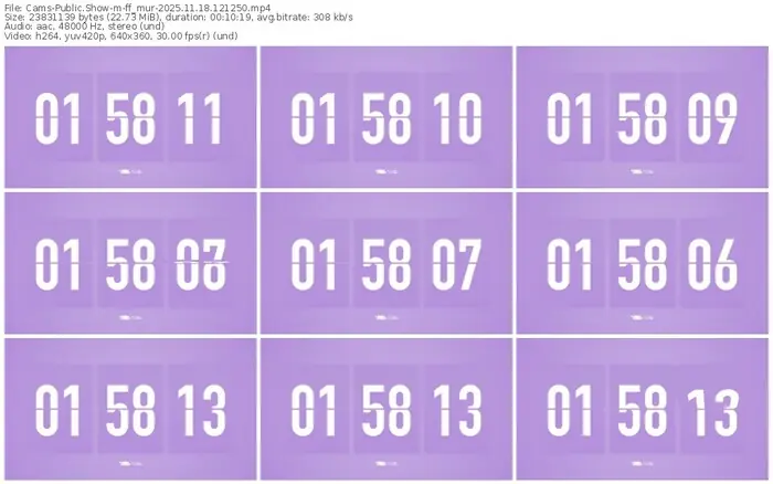 cams-ff_mur-11-18-2025-12-12-50